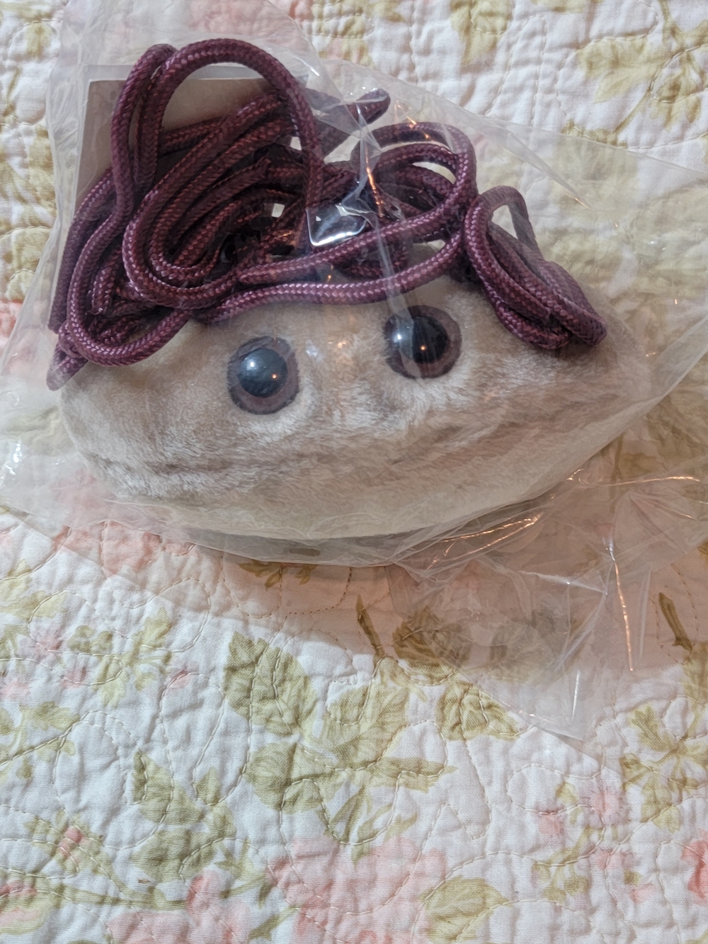 Plush Kids Plush Of E.Coli Also Used A Teaching Toy